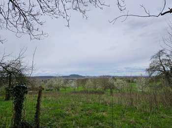 Randonnée Marche Eijsden-Margraten - Eijsden - E8 - Bloesemroute-3 - Photo