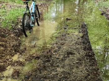 Trail Mountain bike Magny-Vernois - magny Vernois, la grange du vau, amblans, vy - Photo