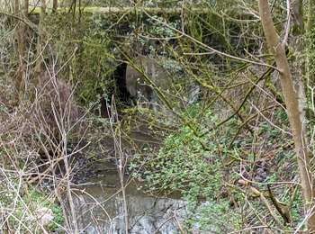 Trail Walking Antoing - televie personne  - Photo