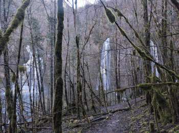 Trail Walking Villard-Saint-Sauveur - Roche Blanche - Gorges du Flumen - Photo
