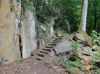 Tour Zu Fuß Berdorf - AP Grundhof Hiking Tour - Photo
