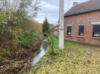 Trail Walking Quévy - Quevy le petit 18,6 km - Photo