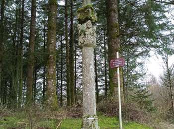 Trail Walking Amont-et-Effreney - 17-02-24 les Mottots ( St Bresson)  - Photo