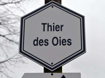 Trail Walking Thimister-Clermont - 20220317 - Thier des Oies - Balade Ornithologique 3.4 Km - Photo