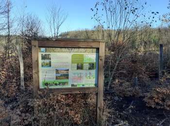 Trail On foot Libramont-Chevigny - Fagne des Anomalies - Photo