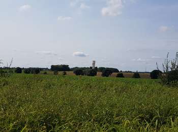 Trail Walking Waremme - Waremme - Rocourt  - Photo