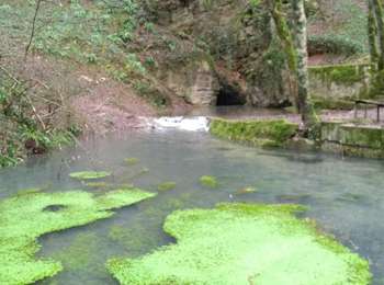 Trail Walking Archelange - Archelange Mont Roland 2021-02-02 CAF - Photo