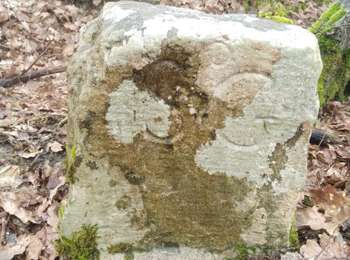 Trail Walking Vergigny - Borne ZC10 - Photo