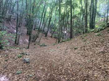 Tocht Stappen Allèves - 06-09-2022 Tours Saint Jacques-Grottes de Bange  - Photo