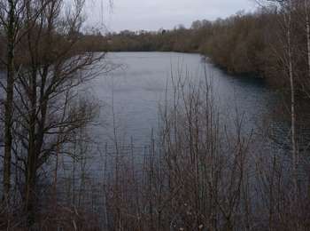 Percorso Marcia Incourt - boucle Sart Risbart 27km - Photo