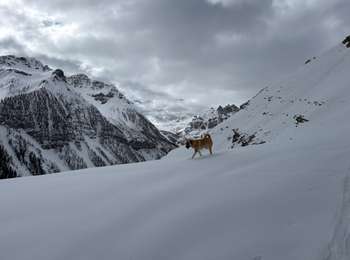 Trail Snowshoes Saint-Dalmas-le-Selvage - Véga de la Croix de Carlé - Photo