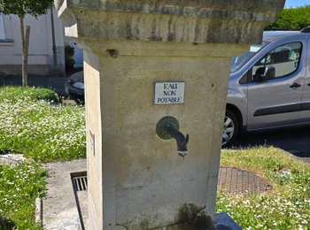 Tocht Stappen Loir en Vallée - Poncé-sur-le-Loir - A travers les collines - Photo