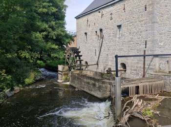 Trail Walking Hotton - les plus beaux coins de Hotton - Photo