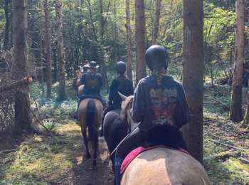 Trail Horseback riding La Tour-du-Meix - Camping vouglan arcane vendredi  - Photo