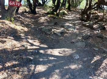 Tocht Stappen Saint-Étienne-Vallée-Française - Etape 10 St Étienne vallée française/St Jean du gard  - Photo