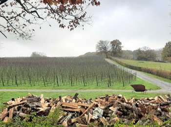 Tocht Stappen Genepiën - RF-BB-09 - Bousval - Grande Boucle - 2025-03-09 - Photo