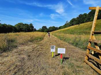 Tour Wandern Philippeville - De Neuville à Sautour par le village de Samart - Photo