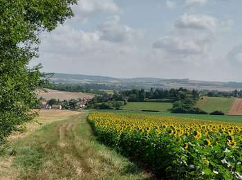 Trail Walking Nailly - Nailly 230716 - Photo