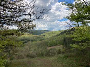 Trail Walking Wellin - GR 17 - Boucle 3 / Chanly / 16 km - Photo