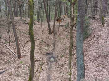 Trail Walking Neupré - beauregard . roche aux faucons . famelette . beauregard - Photo