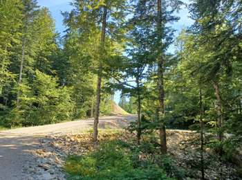 Trail Walking Bellefontaine - les Gouillas - Photo