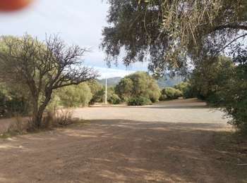 Trail Walking Palasca - Recos sur route vers plage  - Photo