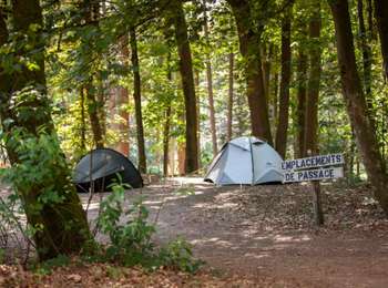 Trail Horseback riding Libramont-Chevigny - Saint-Hubert FB rte Madame artagnan  - Photo