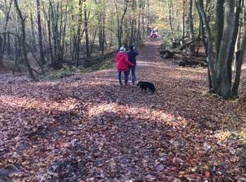 Tocht Stappen Amay - Marche Adeps  - Photo