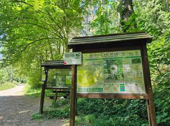 Trail Walking Esneux - Le Parc du Mary - Photo