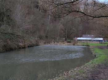 Trail Walking Visé - A travers les bois et étangs de la julienne 🥾 - Photo