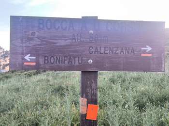 Trail Walking Calenzana - Rando Calenzana Bonifatu - Photo