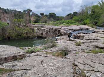 Excursión Senderismo Vidauban - Chebreguin, l'Eusclade et la Miquelette - Photo