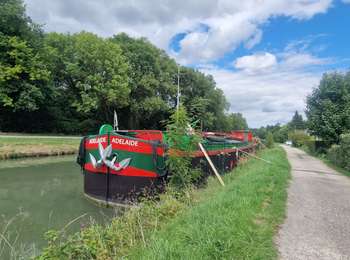 Tour Zu Fuß Moret-Loing-et-Orvanne - La basse vallée du Lunain version 30 km - Photo