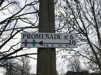 Trail Walking Olne - 20210419 - Olne 5.9 Km - Photo