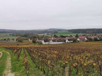 Excursión Senderismo Nogent-l'Artaud - RP51-06 Château-Thierry à Nogent-l'Artaud - Photo