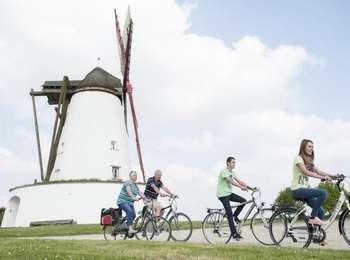 Trail Hybrid bike Ellezelles - Pointsnoeuds - Photo