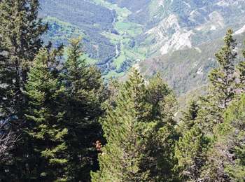 Randonnée Marche Saint-Agnan-en-Vercors - Plateau de Beure - Tête du Faisan - Photo
