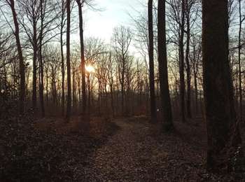 Trail Walking Malbouhans - 04-03-25 : reco Mont de Vannes - Photo