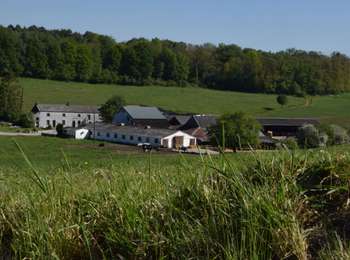 Tour Wandern Fernelmont - RB-Na-26-racc-Sur les chemins du roi Albert 1er - Photo