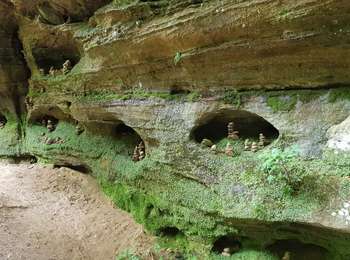 Tour Wandern Berdorf - Mullerthal Balisage E1 - Photo