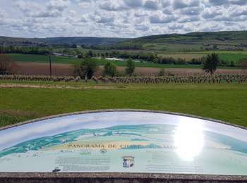 Excursión Senderismo Crouttes-sur-Marne - Crouttes-sur Marne du 20/05/2021 - Photo