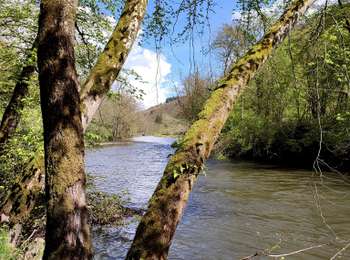 Randonnée Marche Houyet - Promenade de la Lesse (8,8 km)  - Photo