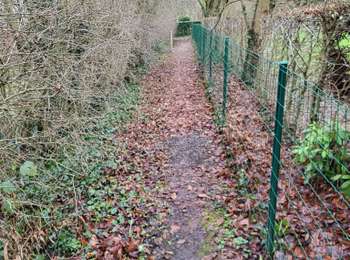 Tocht Stappen Amay - Jehay Bodegnee 230125 - Photo