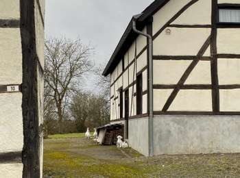 Tour Wandern Somme-Leuze - Waillet - Photo