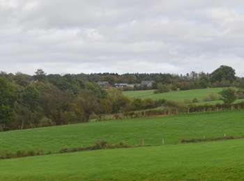Randonnée Marche Theux - 20221024 - Jehanster 7.7 Km - Photo