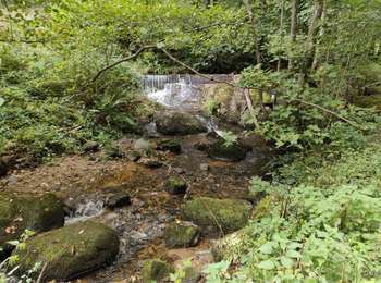 Percorso Marcia Gumières - Gumières - Photo