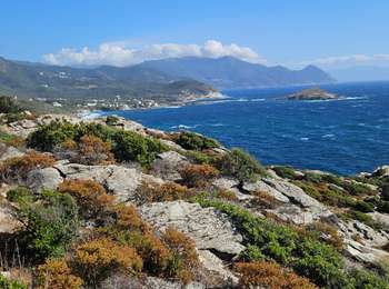 Trail Walking Centuri - centuri - Photo