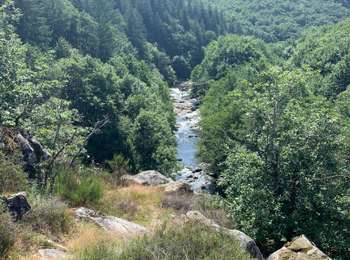 Trail Walking Brassac - Tour du Salas variante nord - Photo