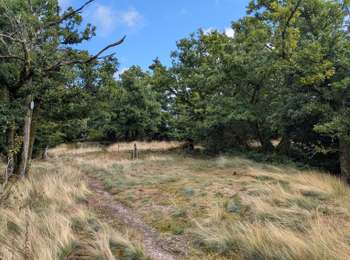 Tour Reiten Turquestein-Blancrupt - suuntoapp-HorsebackRiding-2025-08-30T07-52-19Z - Photo