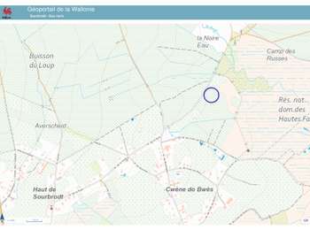 Tocht Stappen Waimes - 20241014 - Waimes 7.5 Km - Photo